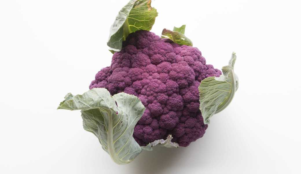 Wie gut Blumenkohl der kältetoleranten Sorte Di Sicilia violetto gedeiht, hängt nicht nur vom Saatgut oder der Kälte ab. 