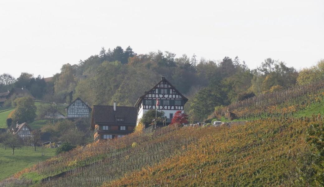 Gallery Large Hidpi Haus Laager01
