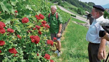 TVO wieder auf Sommertour