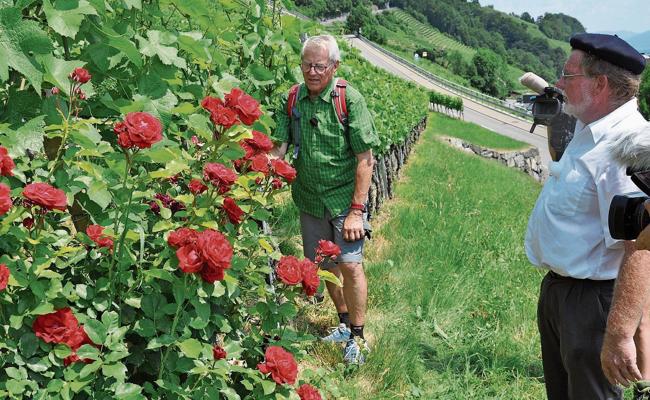 TVO wieder auf Sommertour