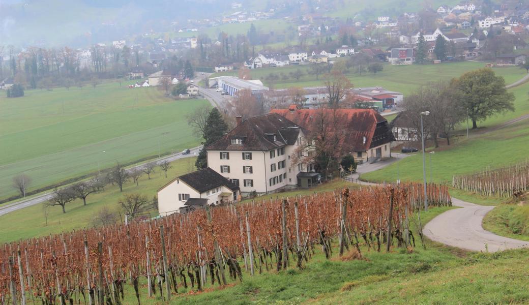 Das ehemalige Alters- und Betreuungsheim Forst soll zunächst noch nicht verkauft werden, weil eine Arbeitsgruppe Alternativen prüft.