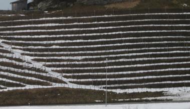 Geometrie im Rebberg