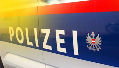 Jugendlicher versuchte brennenden Schuppen zu löschen