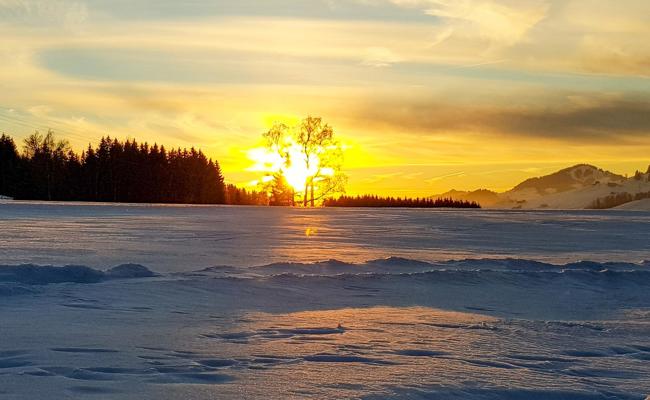 Goldener Schnee