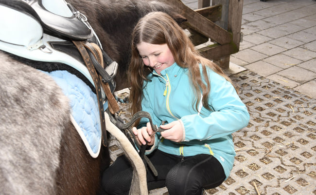 Auf Du und Du mit den Ponys - ein tierischer FerienSpass