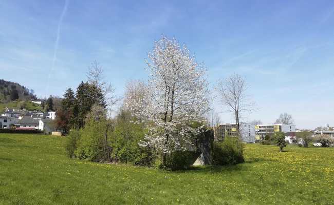 Versteckt im Grünen: So lebten Soldaten im Bunker der Festung Heldsberg
