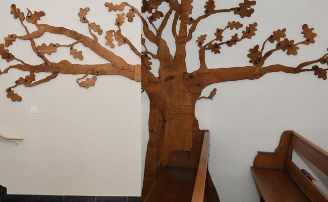 Ein geteilter Taufbaum für die Ökumene