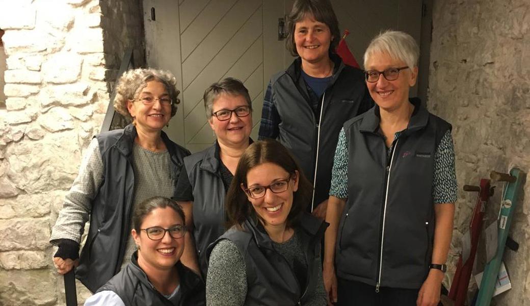 Das Ludoteam Rheineck, von links, hinten: Uli Dürlewanger, Bigi Hohl, Bea Gerber, Daniela Lehner; vorne: Corine Borere, Evelyne Lengg. Weiter gehört Karin Manser dem Team an.