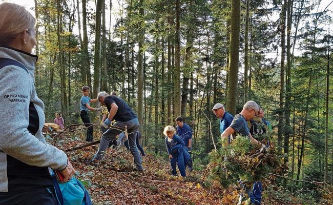 Gemeinwerk im Wald der Ortsgemeinde
