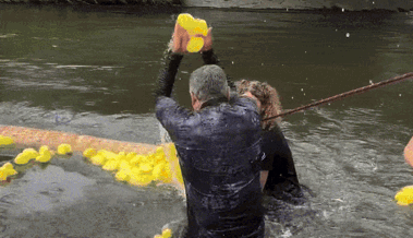 So viele waren es noch nie: 4320 Enten schwammen im Kanal So viele waren es noch nie: 4320 Enten schwammen im Kanal