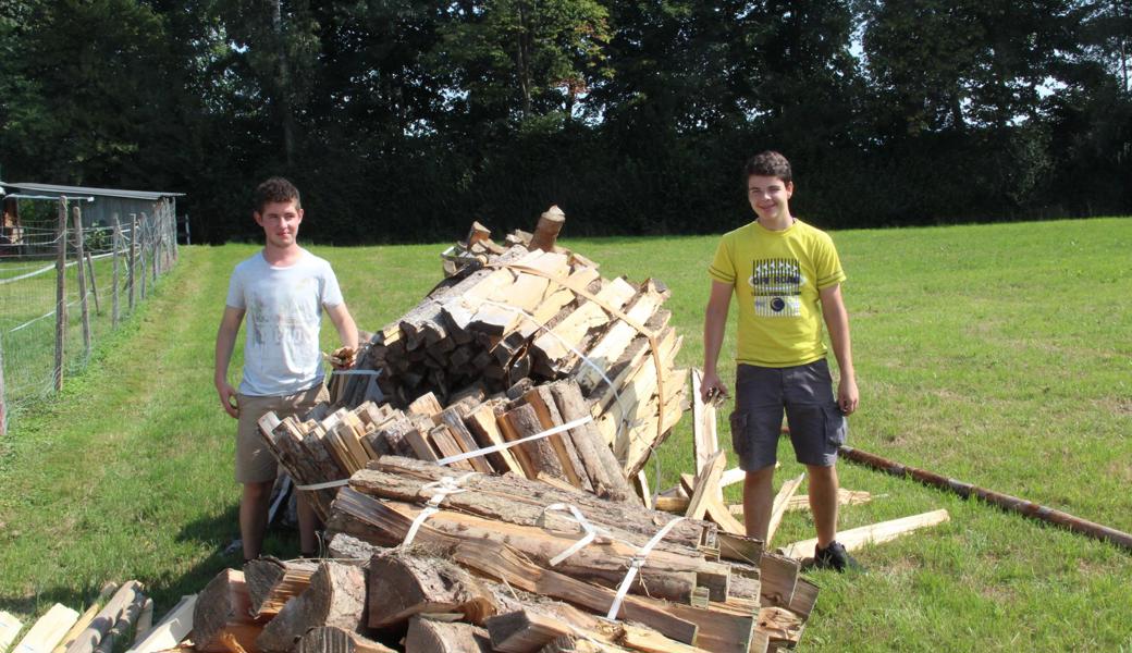 Holz ist genug da.