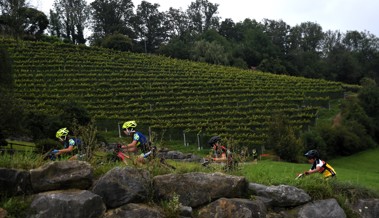 Der neue Alpencup bietet mindestens acht Rennen für den Nachwuchs – auch Altstätten ist dabei Der neue Alpencup bietet mindestens acht Rennen für den Nachwuchs – auch Altstätten ist dabei