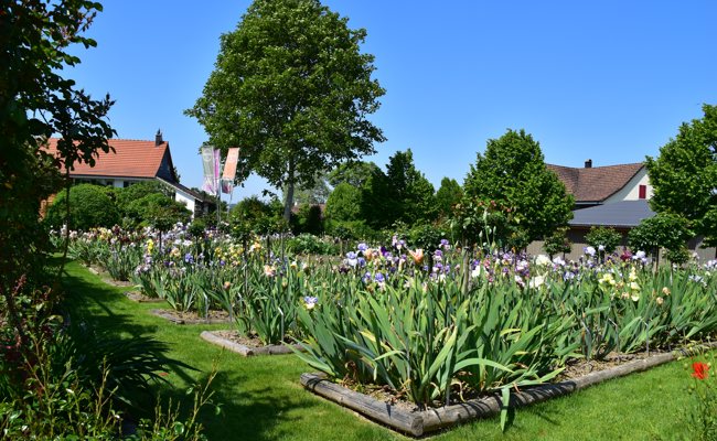 Die Ostschweiz, das Gartenparadies: Neun Gärten zum Entdecken