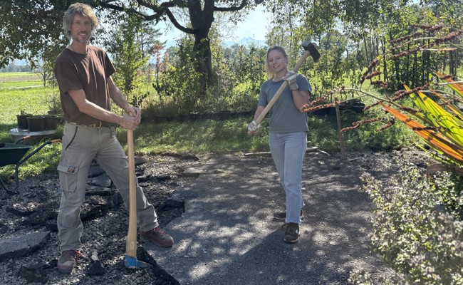 Mehr Grün, weniger Asphalt: Im Rheintal werden versiegelte Flächen aufgebrochen