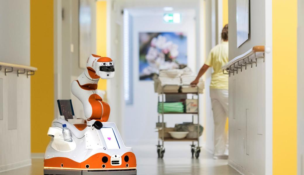 Lio ist ein schon bestehender und bekannter Pflegeroboter mit funktionalem Arm, der Menschen aktiv unterstützt und der an verschiedenen Orten eingesetzt wird. 