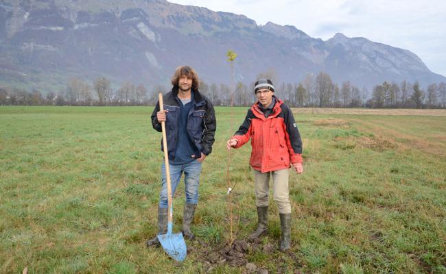 Etwas fürs Auge und für die Natur