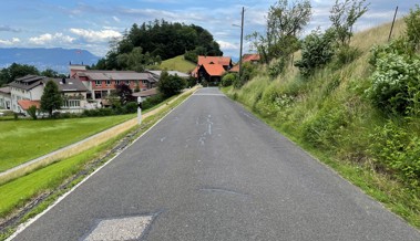 Mobilfunkinitiative: Bundesgericht heisst Beschwerde teils gut