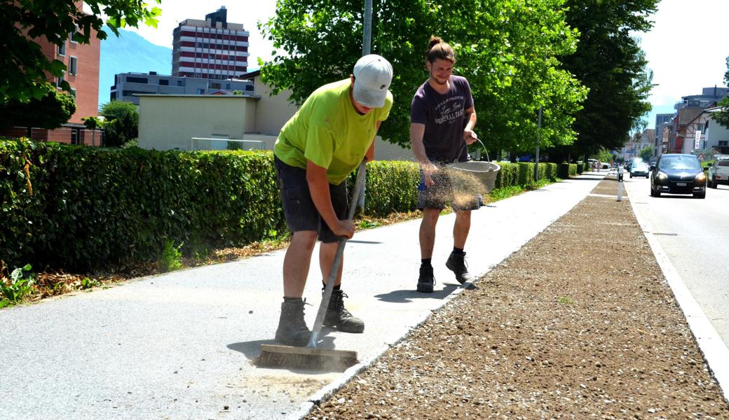 Manuel Hefti (links) und Tobias Mäder (Gärtnerei Messmer AG, Berneck) säen die Magerwiese entlang der Bahnstrasse auf einer Strecke von knapp dreihundert Metern ein.