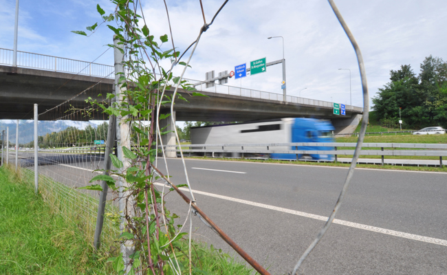 Autobahnanschluss erhält ein neues Gesicht: Fünf Jahre Bauzeit, 65 Millionen Franken Kosten