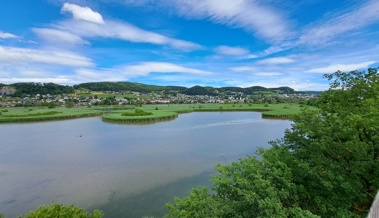 Naturschutzvereine auf gemeinsamer Exkursion ins Aargau