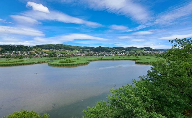 Naturschutzvereine auf gemeinsamer Exkursion ins Aargau