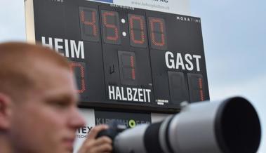 Ehrenpreis des Jahres