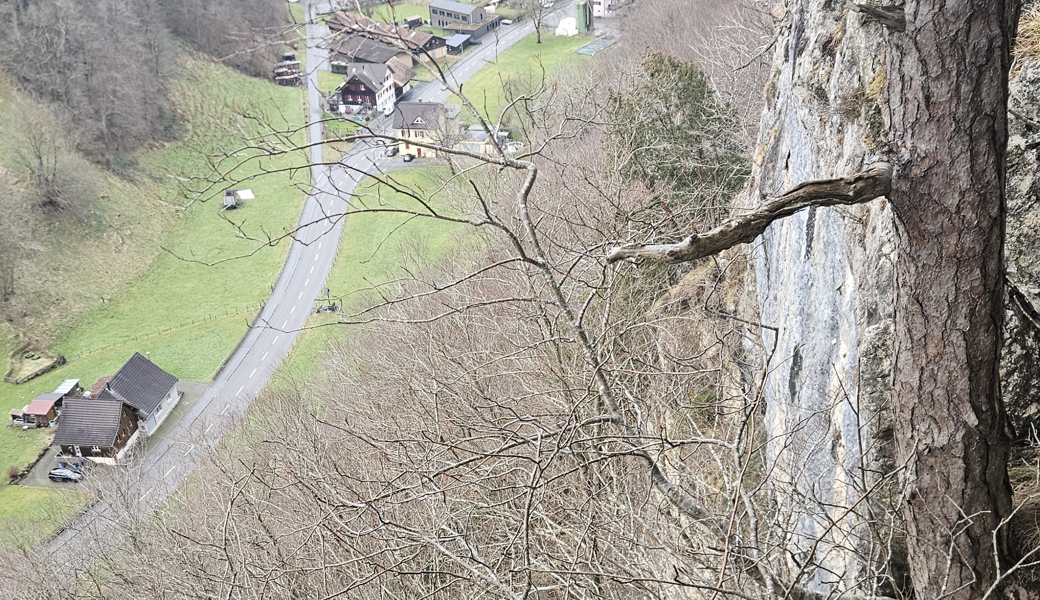 Blick vom Blattenberg auf den zugewucherten, steilen Geröllhang, der mit dem Deponieprojekt verbreitert wird.