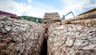 Holzkäufer «nöd z’fescht ploge»