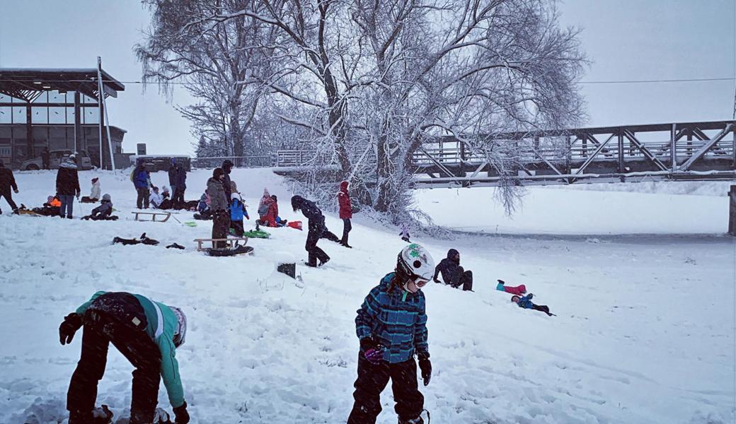 20 cm Schnee: Winterspass am Rheindamm bei der Habsburg in Widnau.