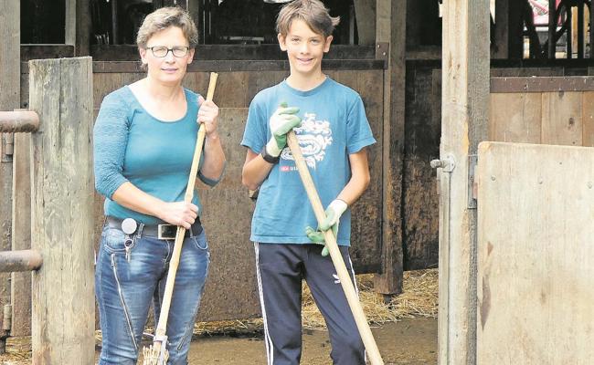 Messmers sind Agrivivaner