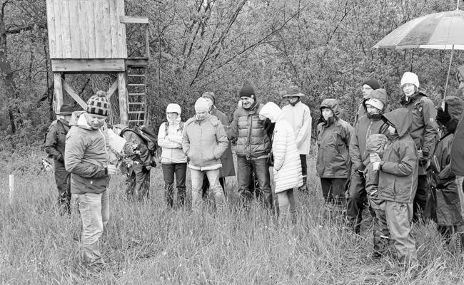 Tag der Biodiversität in der «Höchstern»
