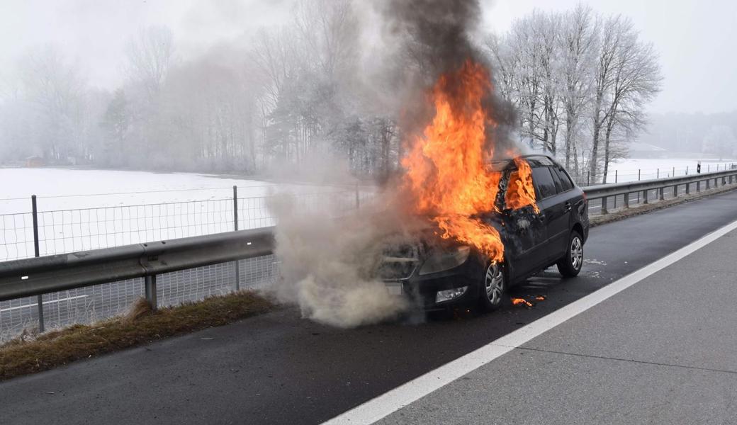 Der Fahrer konnte rechtzeitig anhalten und aussteigen.
