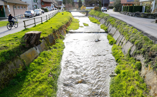 Tickende Zeitbomben im Steinlibach - Naturgefahren beschäftigen