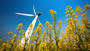 Der Kampf gegen Windräder und unliebsame Alternativen