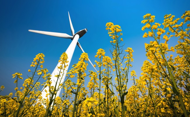 Der Kampf gegen Windräder und unliebsame Alternativen