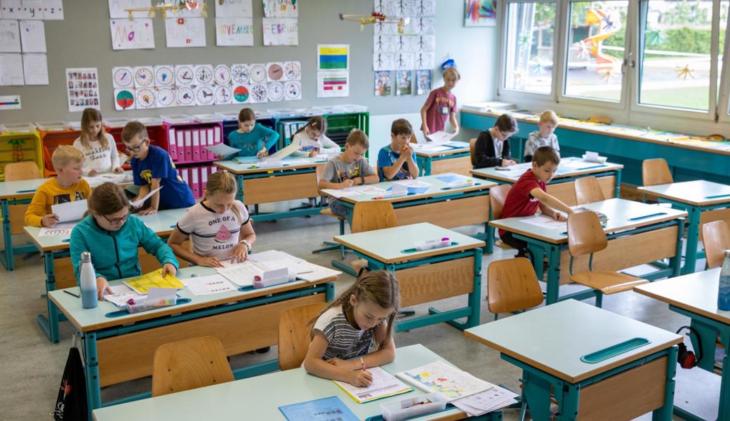 Gestern gab es Zeugnisse. Die Noten sollen die Schuljahresleistung spiegeln. Was sie Wert sind, wird sich erst zeigen. 
