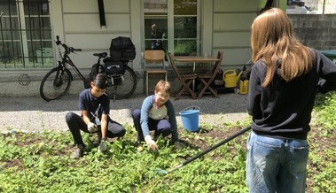 Sommerprogramm für Jugendliche: Ran an Schaufeln und Pinsel
