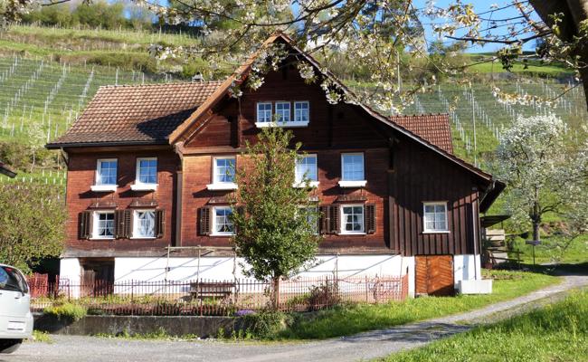 Rebgut am Büchel besteht seit 300 Jahren