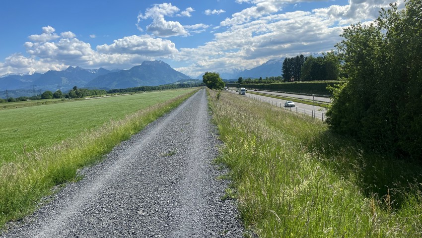 In Montlingen setzte der Verfolgte seine Flucht auf dem Rheindamm viel schneller als auf der Autobahn fort, obwohl hier Fussgänger und Velofahrende unterwegs waren.