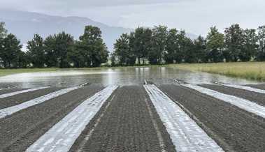 Dauerregen bedroht Ernten: Salat und Kartoffeln unter Wasser