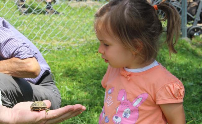 Zoofest - perfekter Anlass für Familien