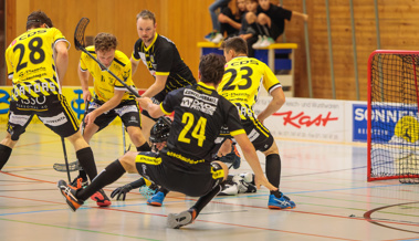 Gators kassieren Kanterniederlage bei den Eisernen Murmeltieren