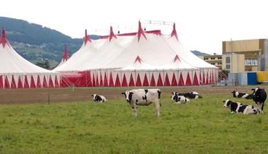Ein Zirkus ohne Zirkus