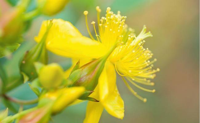 Stimmungstief – wenn seelische Belastungen zu viel werden