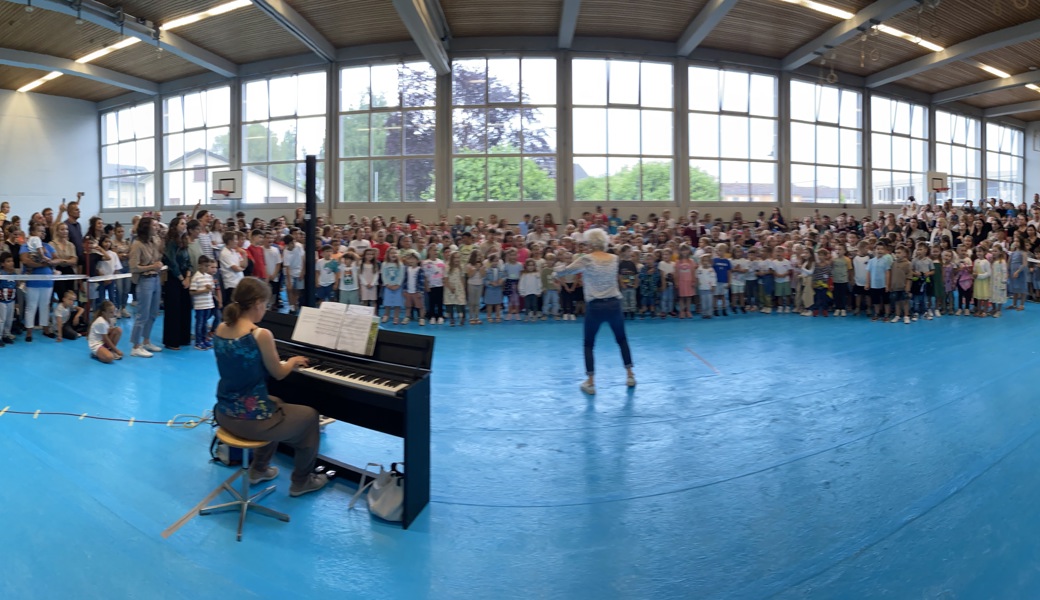 Der Start des Wiesenau-Festes begann in der Turnhalle mit dem Flahmob sowie mit der Uraufführung des Liedes «Die 4 Elemente». Wegen schlechter Witterung fanden die Aufführungen in der Aula und anderen Räumlichkeiten statt. Am traditionellen Fest selbst nahmen ca. 650 Gäste teil.