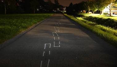 Töfffahrer wollte das «Männli» machen und stürzte dabei