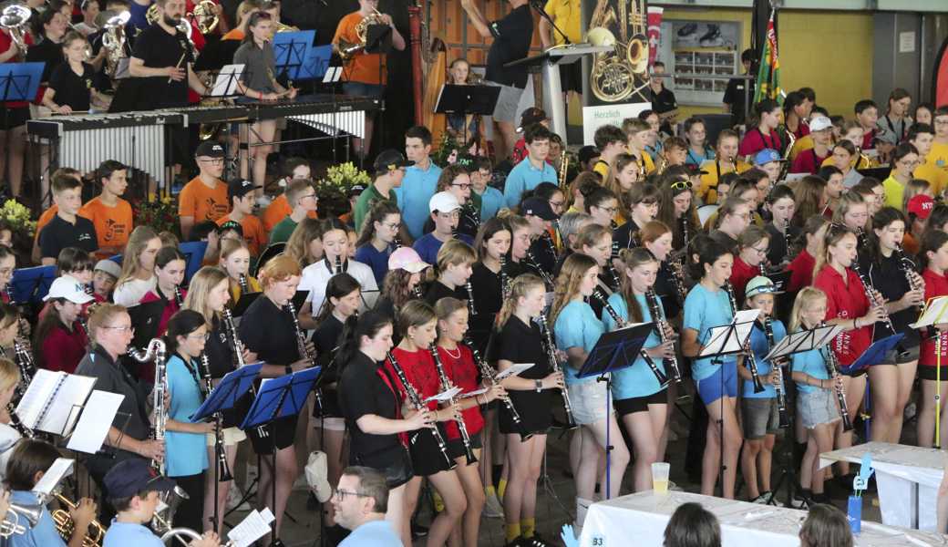 Es war der Glanzpunkt des Fests, als der Gesamtchor mit allen Teilnehmenden musizierte.  