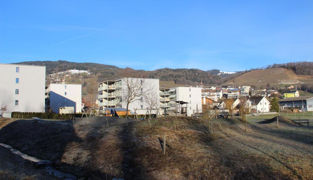 Auf dem zweiten Mehrfamilienhaus von links, auf dem Gebäude Eichpark 3, soll die Swisscom-Anlage entstehen.