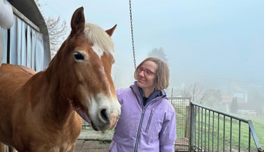 Therapie mit Pferden: Ponys können bei Autismus und ADHS helfen