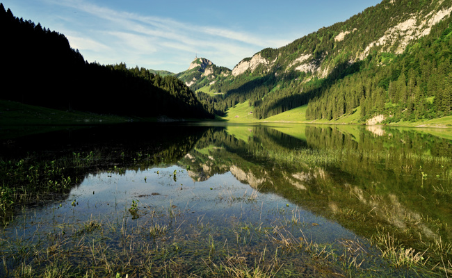 Entenflöhe im Sämtisersee: Das Gesundheitsamt empfiehlt, auf das Baden zu verzichten